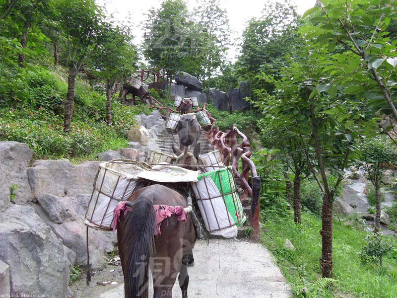 坪山区骡马运输队电话